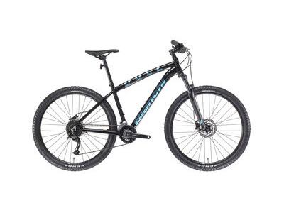 Bianchi Duel  29er