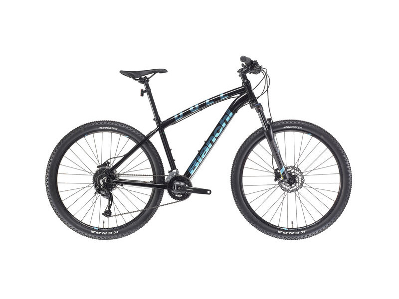 Bianchi Duel  29er click to zoom image