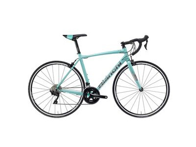 Bianchi Nirone 7