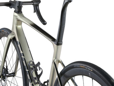Giant Defy Advanced SL 1 Golden Haze / Panther click to zoom image