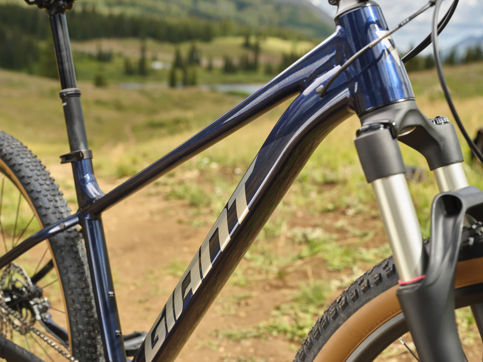 Giant Talon 0 Mars Dust Black 2025 999.00 Mountain Bikes Mountain Bikes Woodrup Cycles