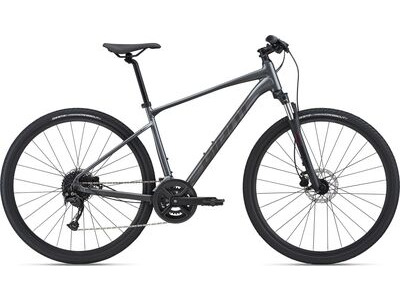 Giant Roam Disc 2