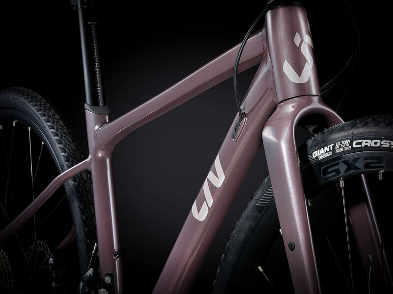 Giant liv hotsell gravel bike