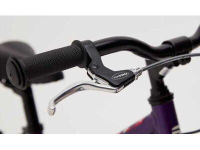 Ridgeback Melody 16 Purple click to zoom image