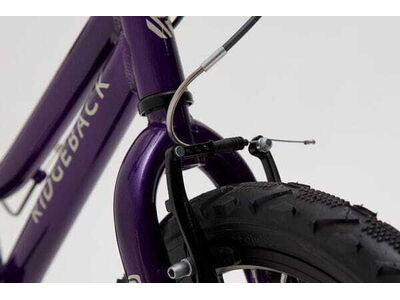 Ridgeback Melody 16 Purple click to zoom image