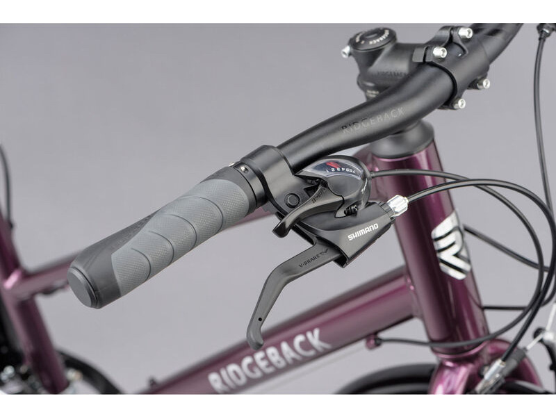 Ridgeback speed hybrid sales