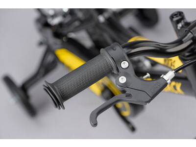 Ridgeback MX14 click to zoom image
